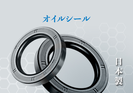 BKA Oil Seals